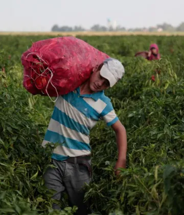 © UNICEF/UN0153927/Feyizoglu